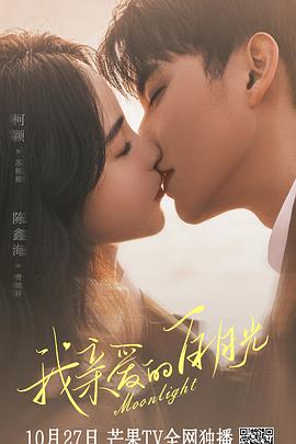 南充谷歌优化seo招商